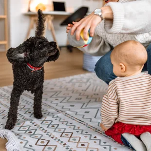Illustration - Ihr Experte für schönes Wohnen - Eine Mutter und ein Baby spielen auf einem Teppich im Kinderzimmer mit ihrem Hund.